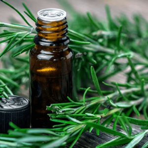 Rosemary Oil