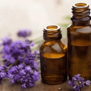 Lavender Oil Kashmir