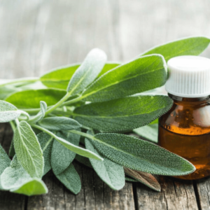 Sage Oil