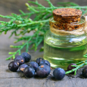 Juniper Berry Oil